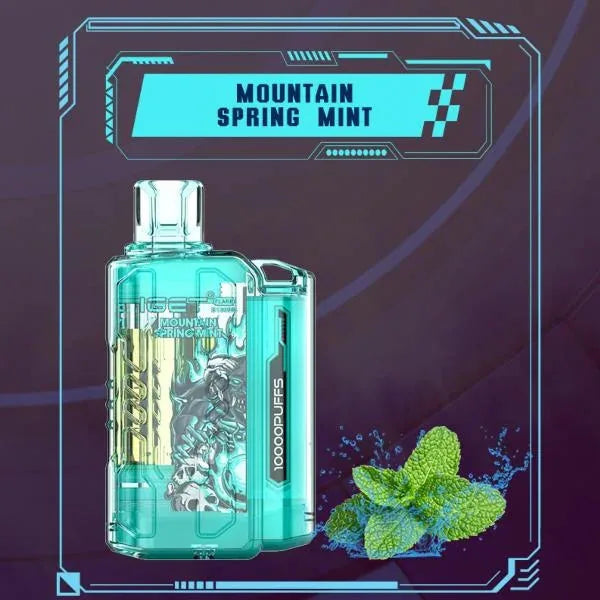 Iget Flare B10000 - Mountain Spring Mint
